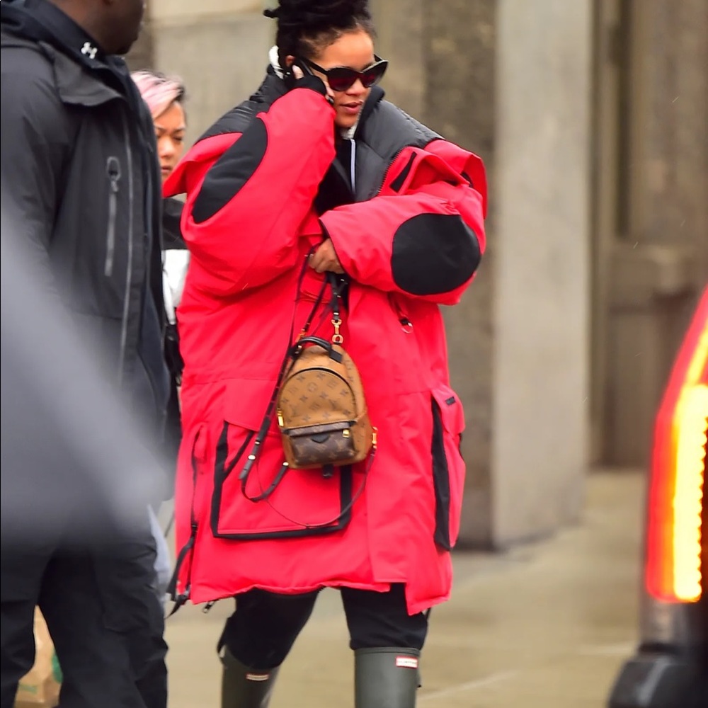 Red Canada Goose💋
